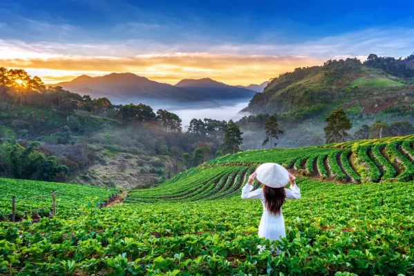 wayanad