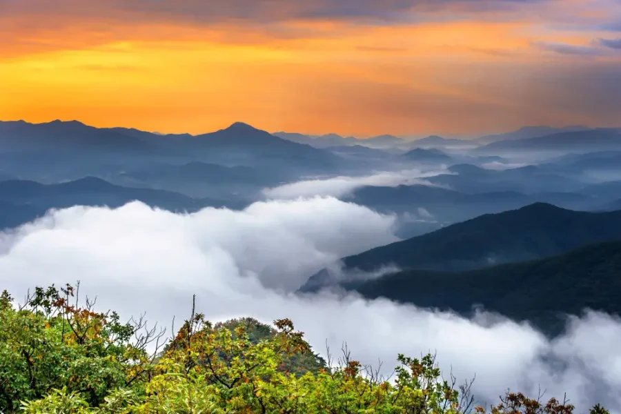 wayanad2